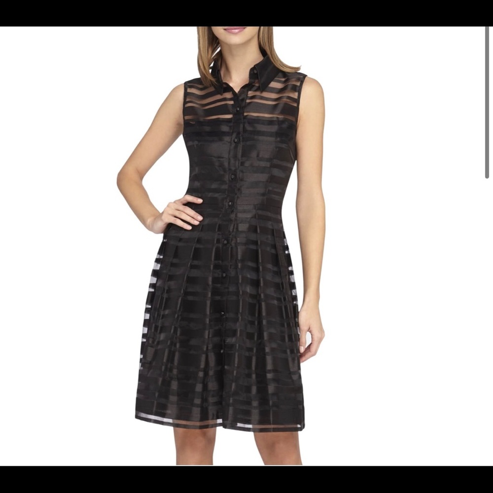 Tahari Shadow Stripe Organza Fit & Flare Dress